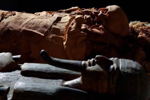 یک کشف جدید در تاریخ مومیایی مصر
