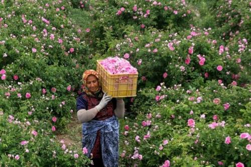 جاذبه های لاله زار میزبان گردشگران