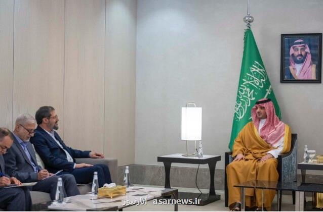 دیدار رییس سازمان حج ایران با وزیر کشور عربستان