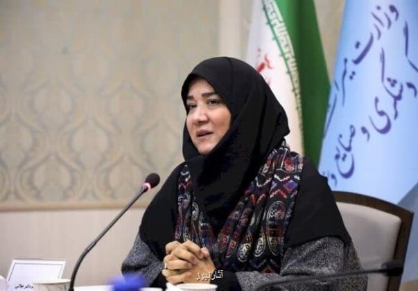 مشارکت گسترده در چالش دفاع از صنایع دستی