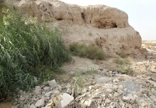 گنجینه ای هفت هزار ساله در میان زباله ها