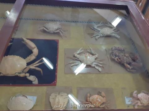 افتتاح موزه علم و طب دانشگاه ارومیه در سال ۹۸، تبدیل بخش حشره شناسی به بانك حشرات غرب ایران