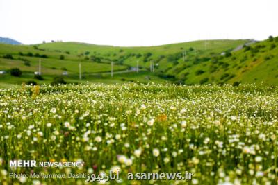 مطالعات طرح ساماندهی سواحل و جنگل ها به پایان رسید
