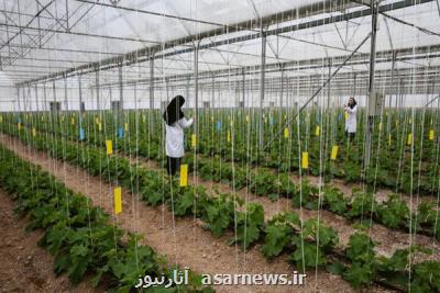 دستورالعمل صدور مجوز فعالیت گردشگری كشاورزی ابلاغ گردید