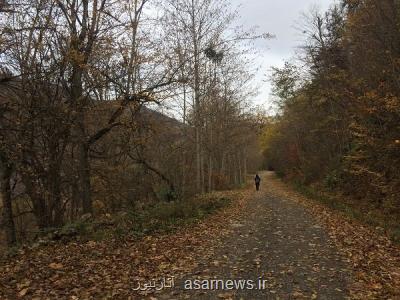 برگزاری نشست مشترك شورای راهبری میراث جهانی هیركانی و مشاور جهانی