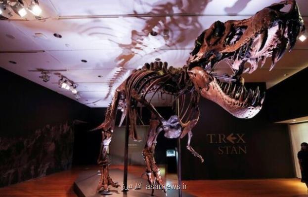 حراج اسكلت یكی از بزرگ ترین دایناسورهای تی ركس