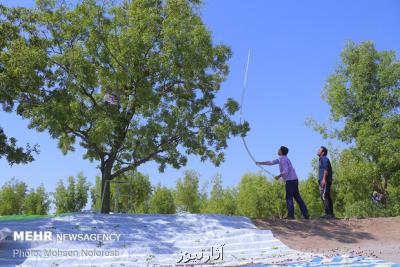 اگر نسل جوان روستاها را ترك كنند گردشگری روستایی حذف می شود